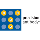 Precision Antibody M2Friend